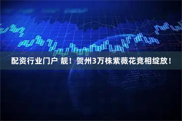 配资行业门户 靓！贺州3万株紫薇花竞相绽放！
